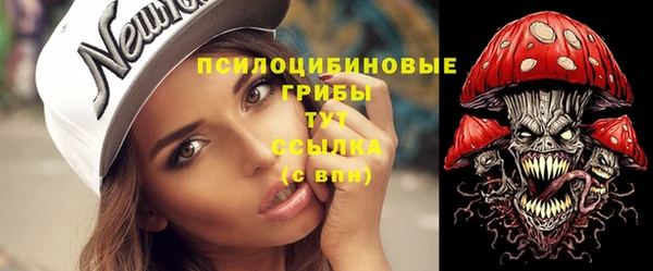 молекула духа Алзамай