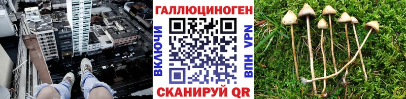 Галлюциногенные грибы Cubensis  МЕГА   Жирновск 