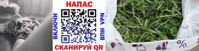 хочу наркоту  Жирновск  Бошки марихуана OG Kush 